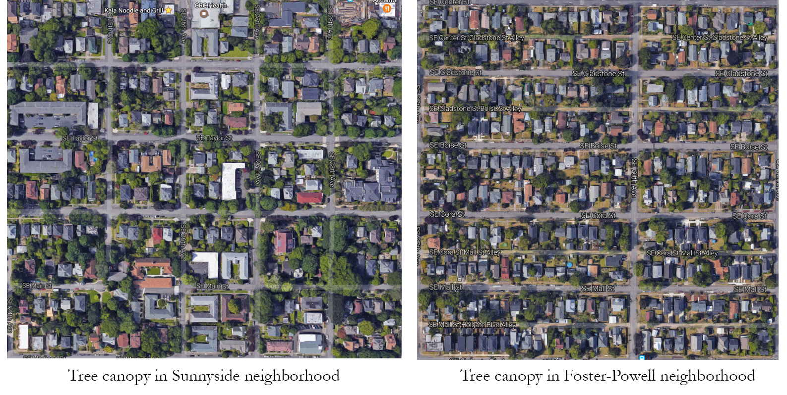Difference of tree canopy in high- and low-income neighborhoods